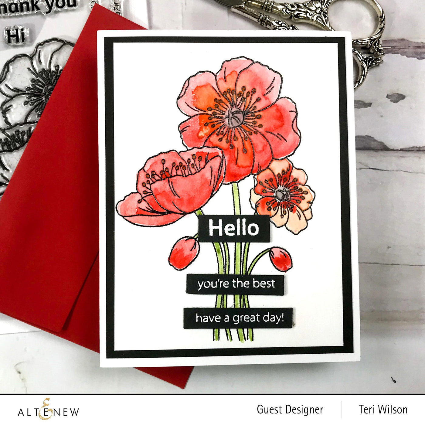 Clear Stamps Paint-A-Flower: Iceland Poppies Outline Stamp Set