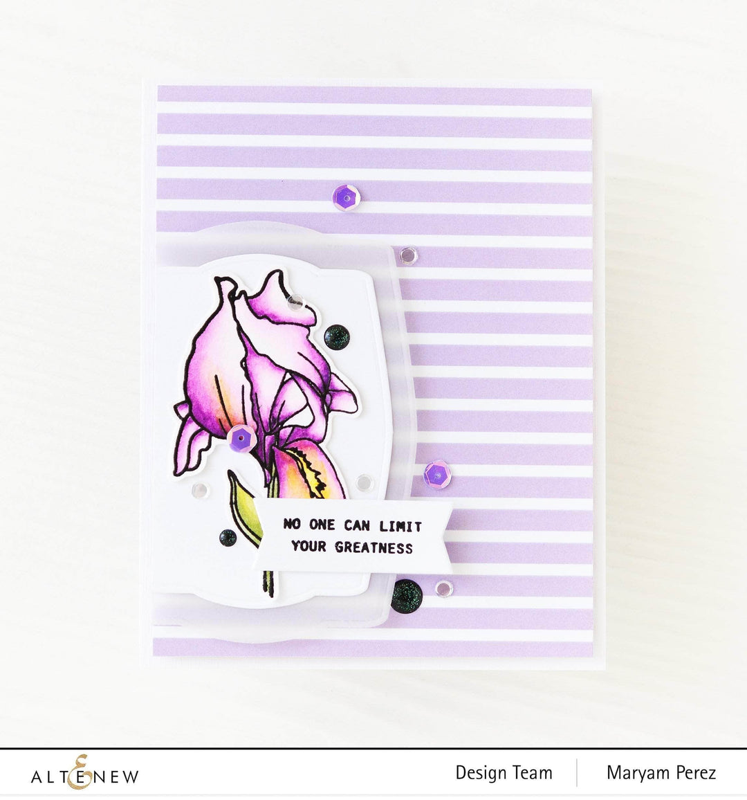 Clear Stamps Paint-A-Flower: Iris Outline Stamp Set