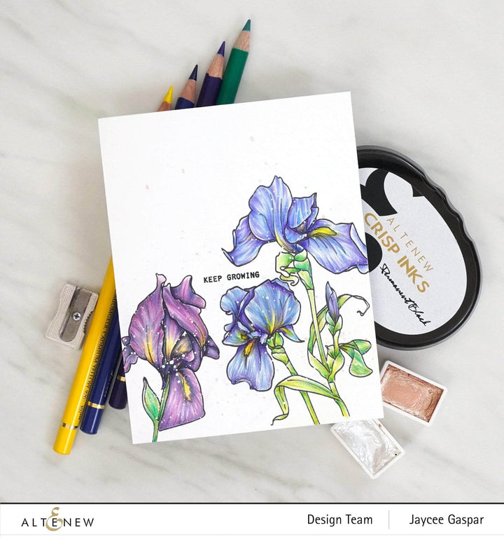Clear Stamps Paint-A-Flower: Iris Outline Stamp Set