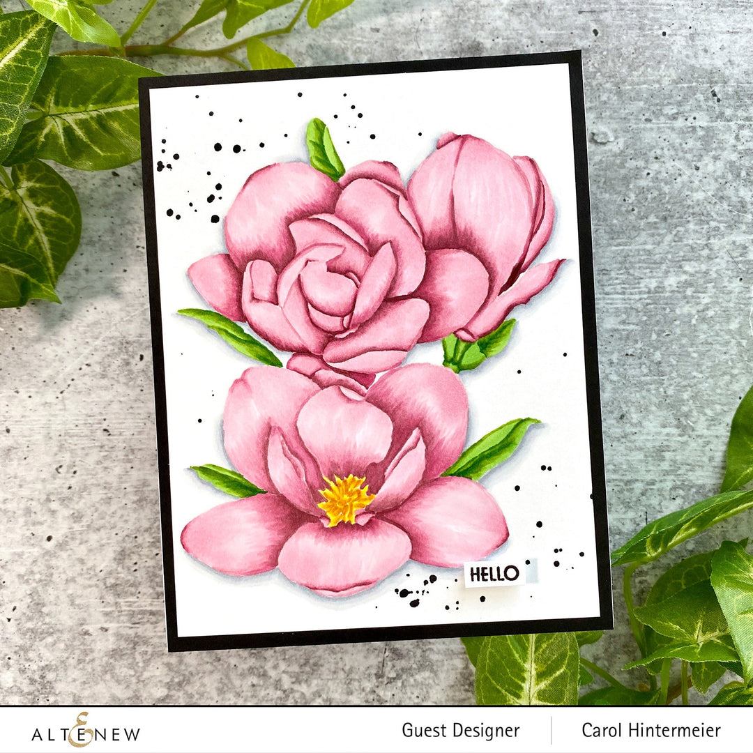 Clear Stamps Paint-A-Flower: Magnolia Rustica Rubra Outline Stamp Set