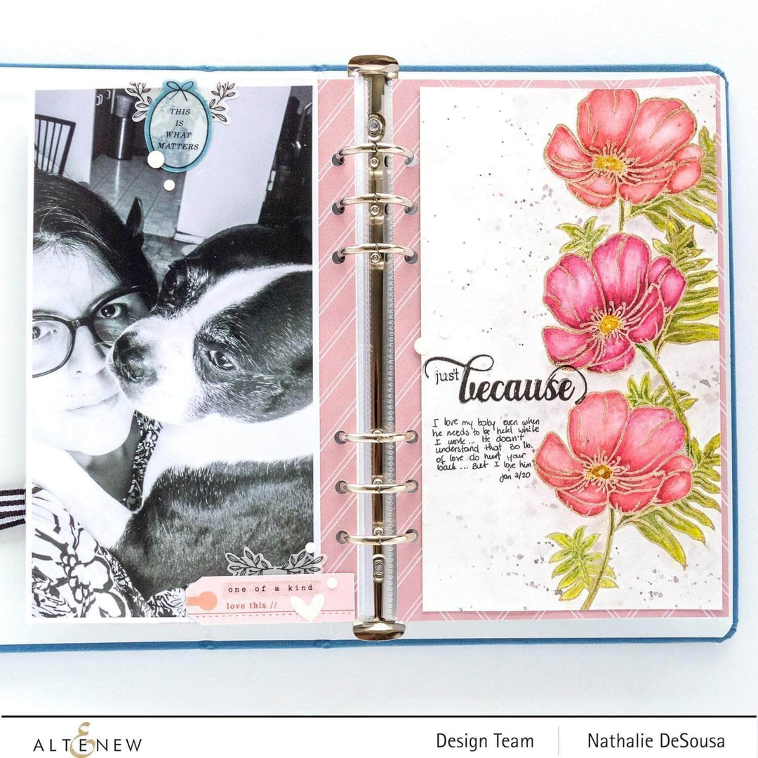 Clear Stamps Paint-A-Flower: Poppy Outline Stamp Set