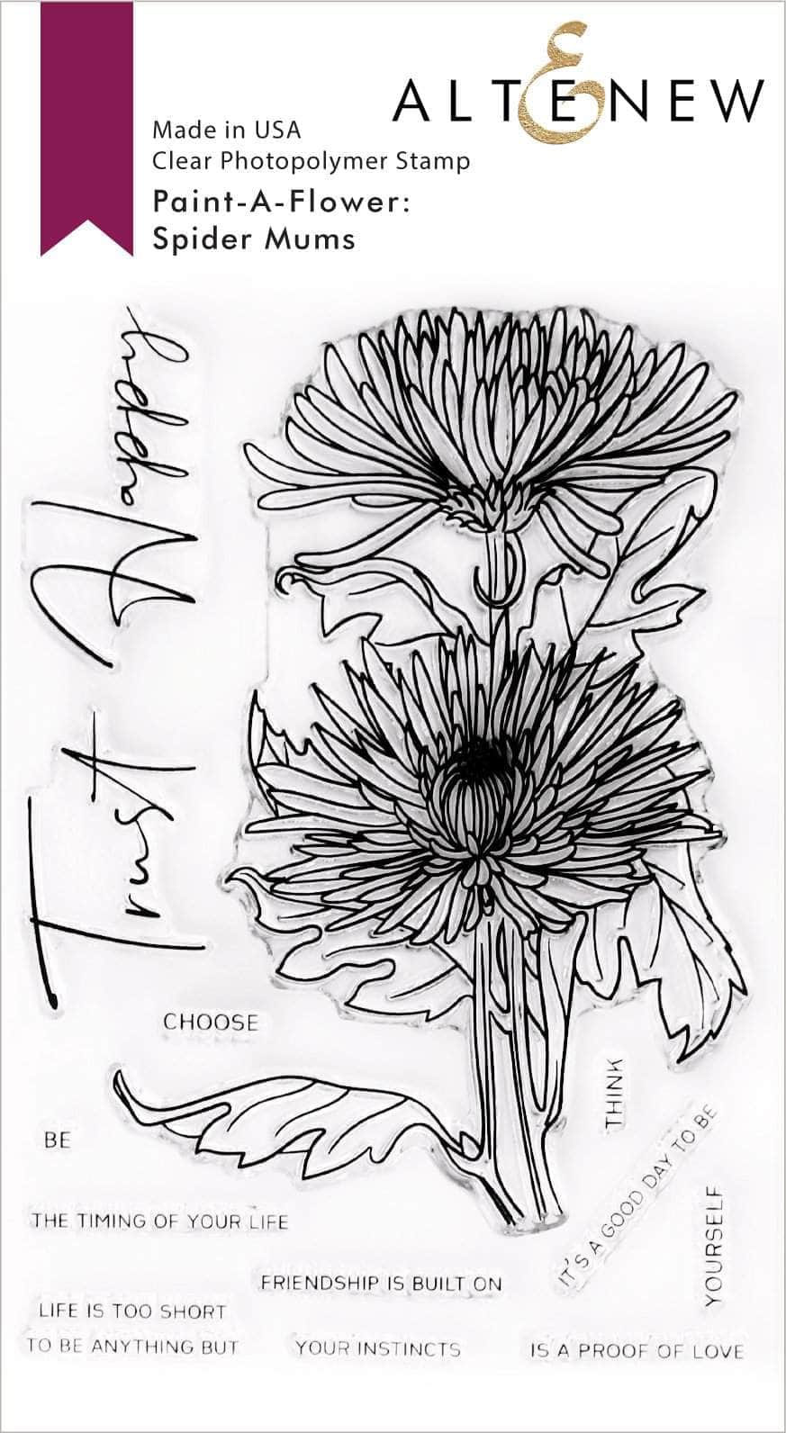 Clear Stamps Paint-A-Flower: Spider Mums Outline Stamp Set
