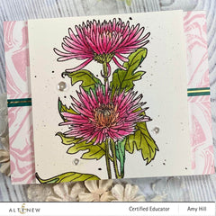 Clear Stamps Paint-A-Flower: Spider Mums Outline Stamp Set