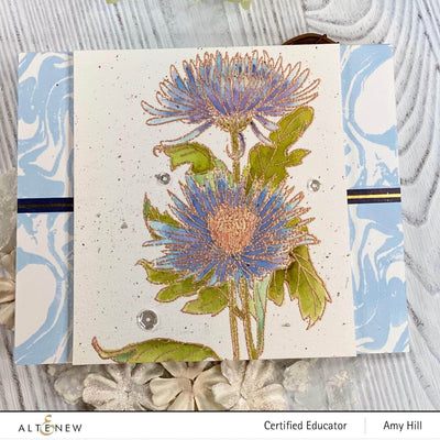 Clear Stamps Paint-A-Flower: Spider Mums Outline Stamp Set