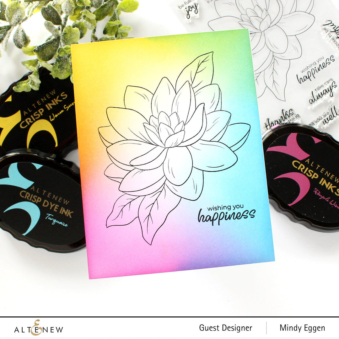 Clear Stamps Paint-A-Flower: Waterlily Dahlia Outline Stamp Set