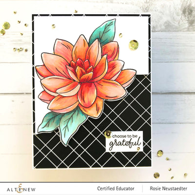 Clear Stamps Paint-A-Flower: Waterlily Dahlia Outline Stamp Set