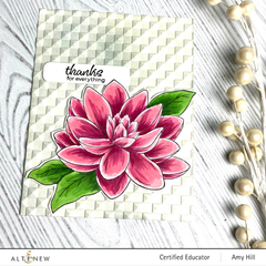 Clear Stamps Paint-A-Flower: Waterlily Dahlia Outline Stamp Set