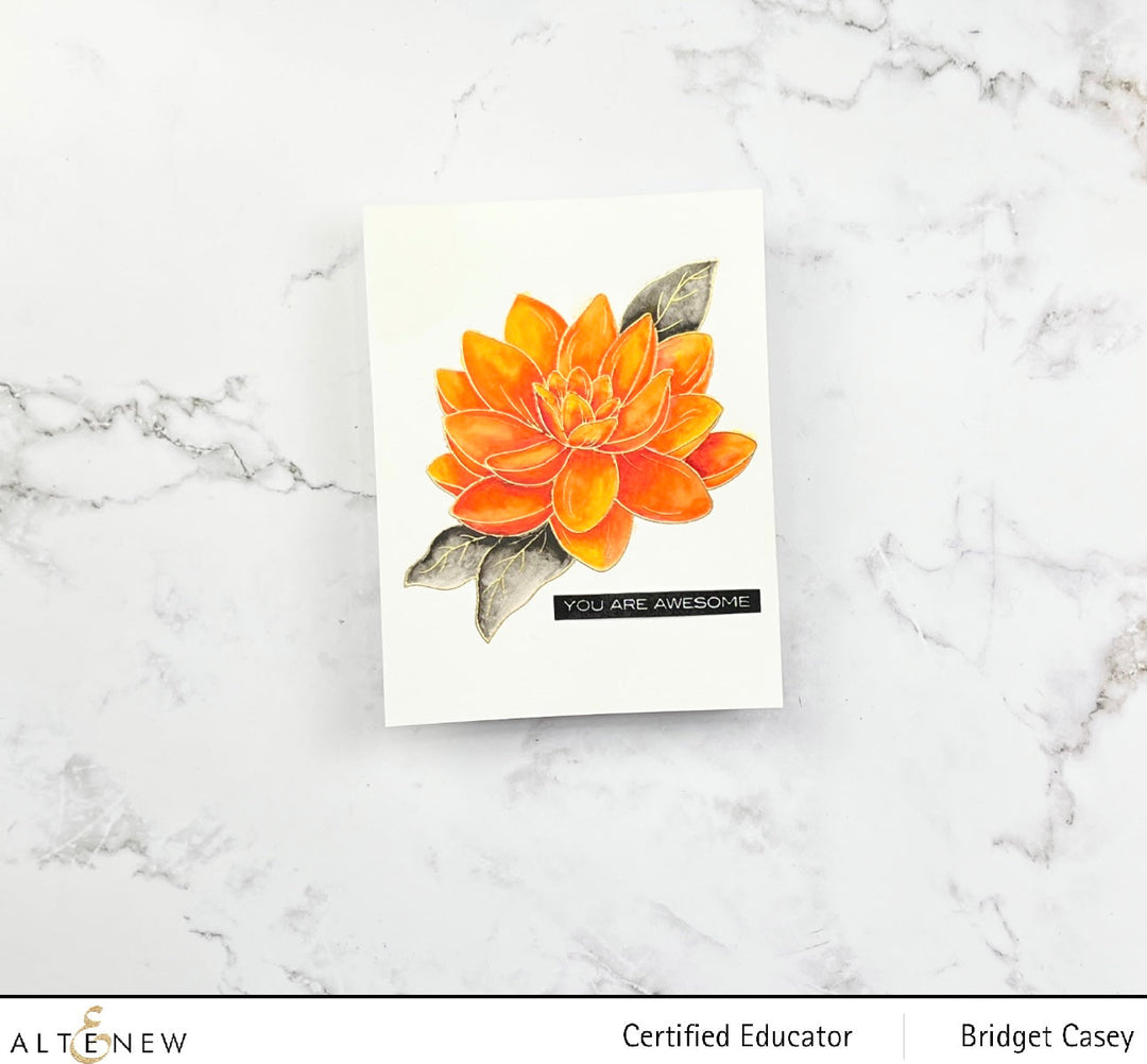 Clear Stamps Paint-A-Flower: Waterlily Dahlia Outline Stamp Set