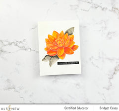 Clear Stamps Paint-A-Flower: Waterlily Dahlia Outline Stamp Set