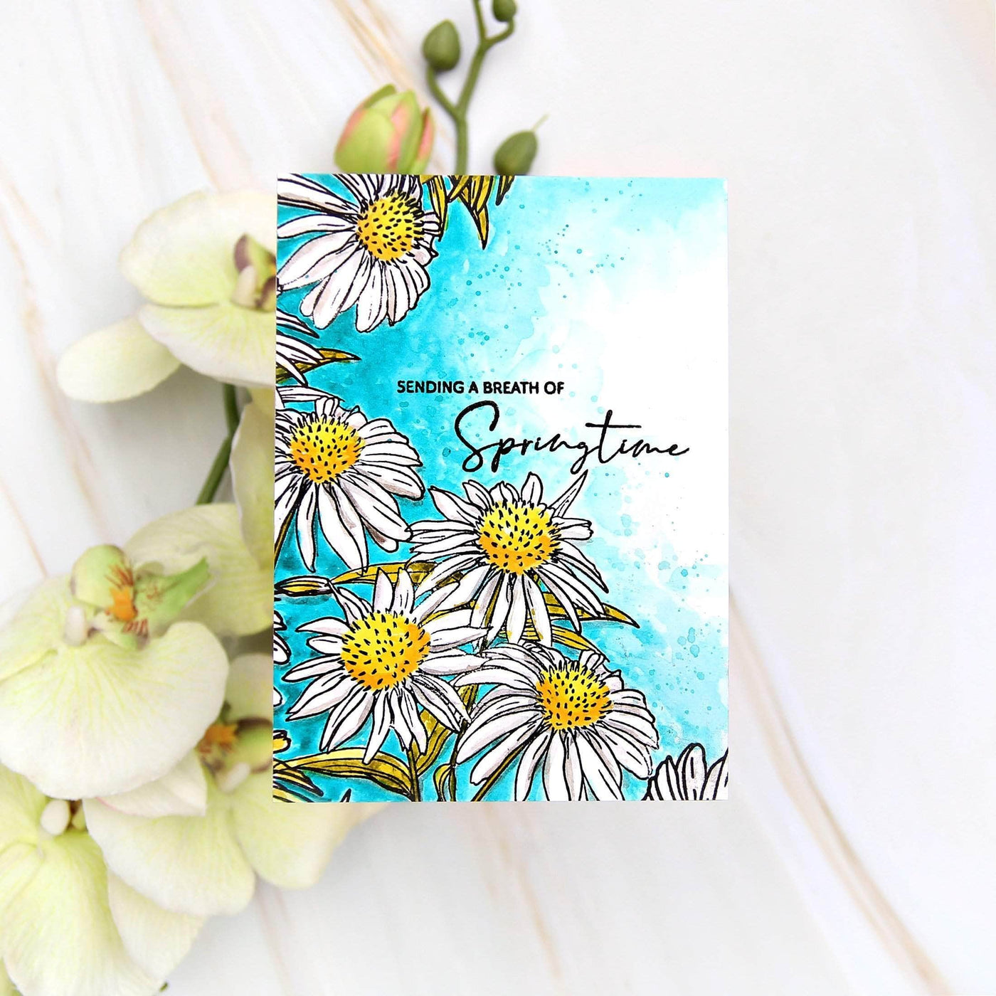 Clear Stamps Paint-A-Flower: White Swan Echinacea Outline Stamp Set