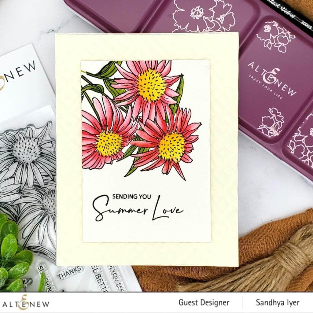 Clear Stamps Paint-A-Flower: White Swan Echinacea Outline Stamp Set
