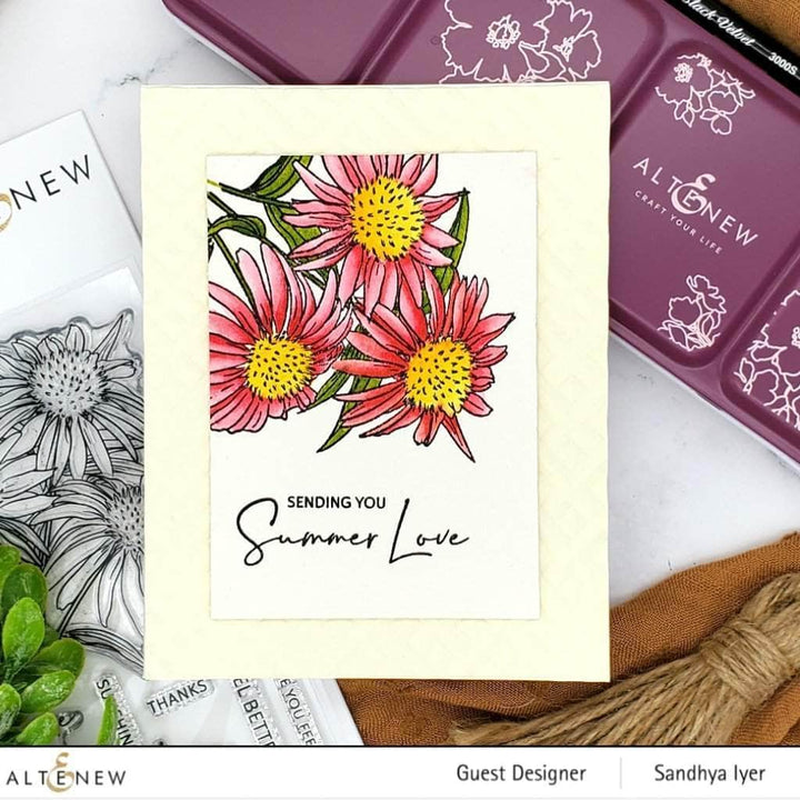 Clear Stamps Paint-A-Flower: White Swan Echinacea Outline Stamp Set