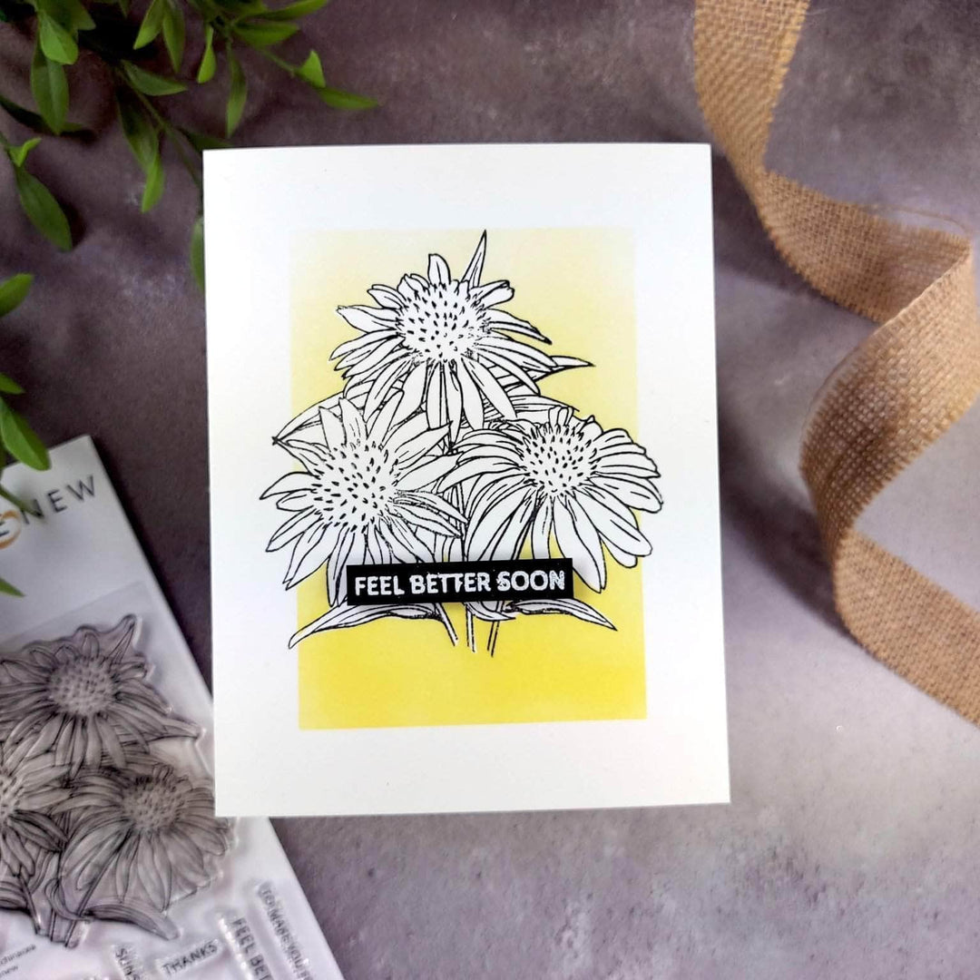 Clear Stamps Paint-A-Flower: White Swan Echinacea Outline Stamp Set