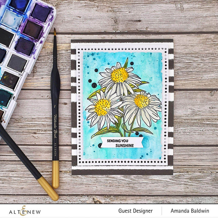 Clear Stamps Paint-A-Flower: White Swan Echinacea Outline Stamp Set