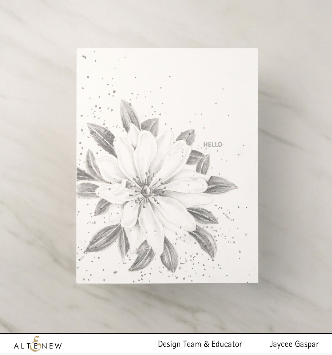Clear Stamps Paint-A-Flower: Wood Anemone Outline Stamp Set