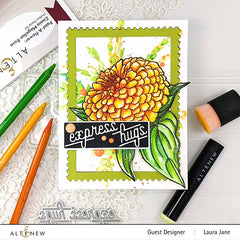 Clear Stamps Paint-A-Flower: Zinnia Magellan Rose Outline Stamp Set