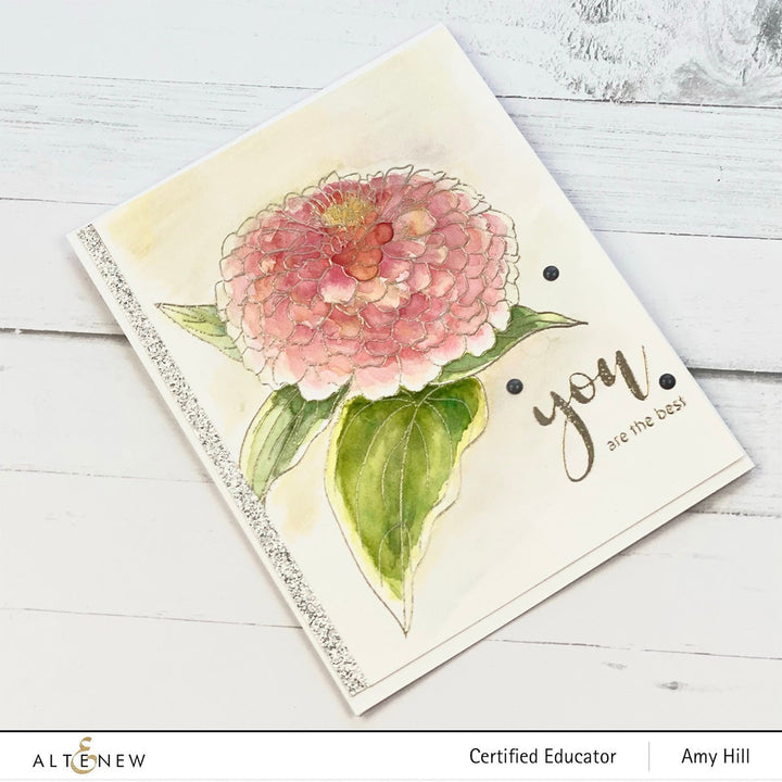 Clear Stamps Paint-A-Flower: Zinnia Magellan Rose Outline Stamp Set