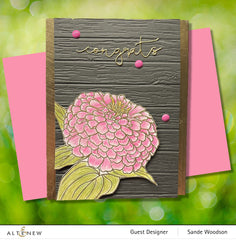 Clear Stamps Paint-A-Flower: Zinnia Magellan Rose Outline Stamp Set