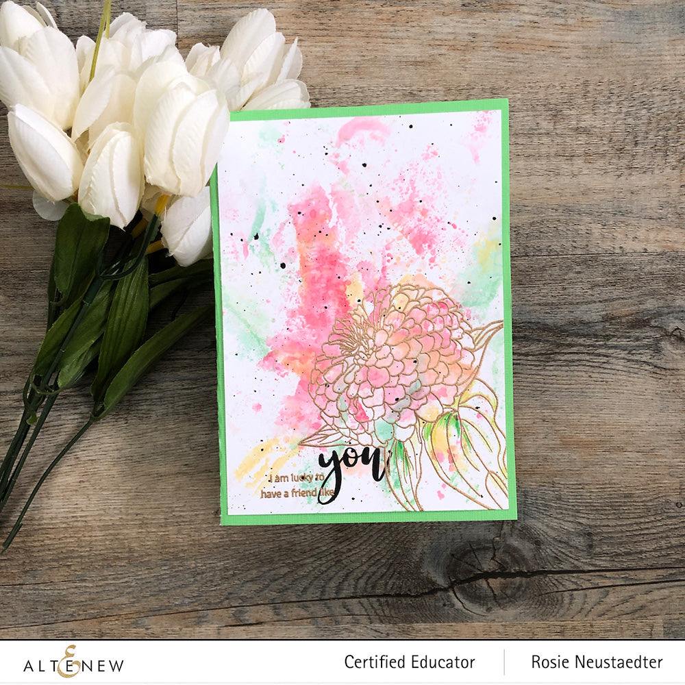 Clear Stamps Paint-A-Flower: Zinnia Magellan Rose Outline Stamp Set