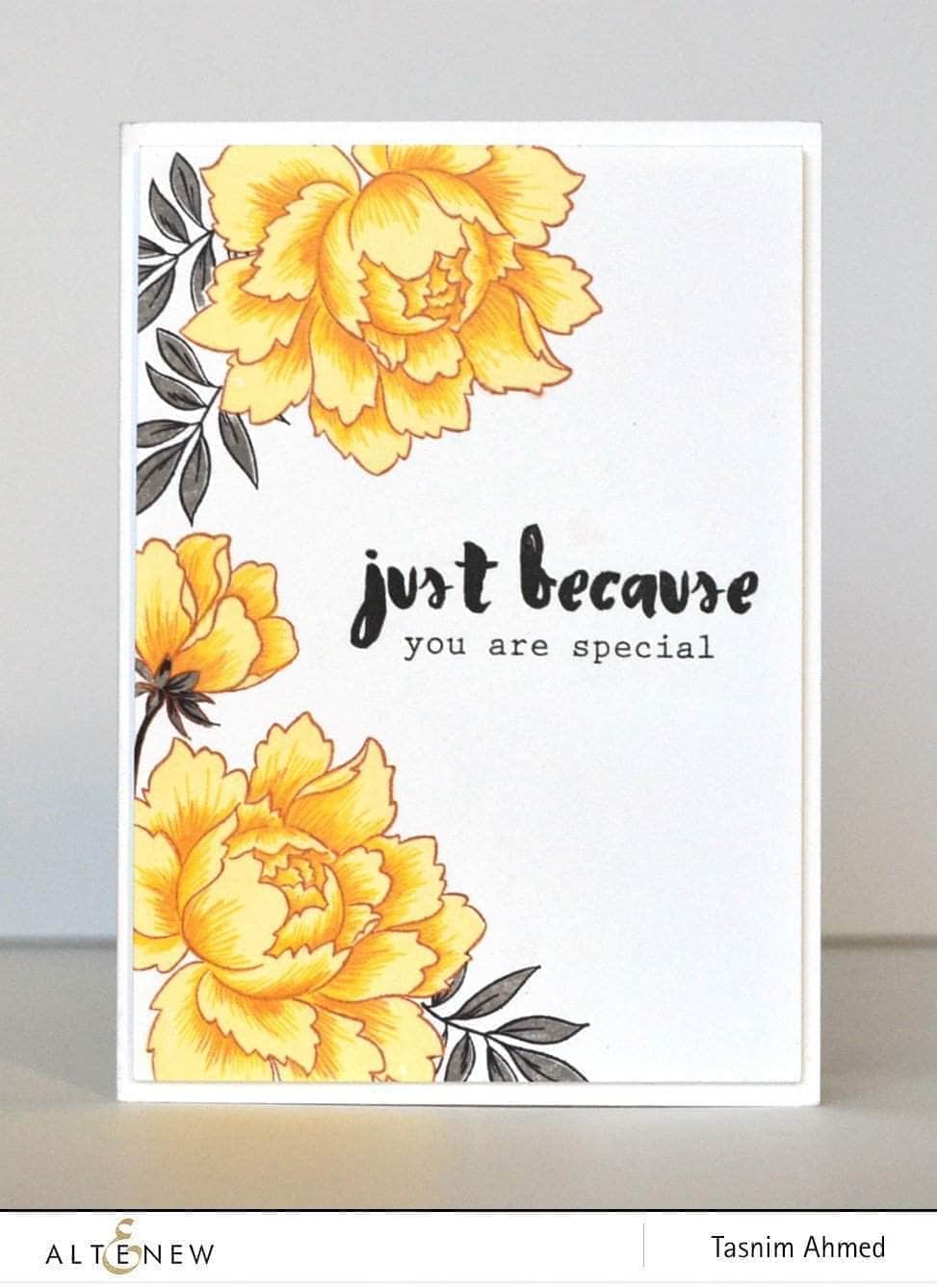 Clear Stamps Painted Greetings Stamp Set