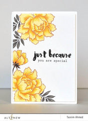 Clear Stamps Painted Greetings Stamp Set