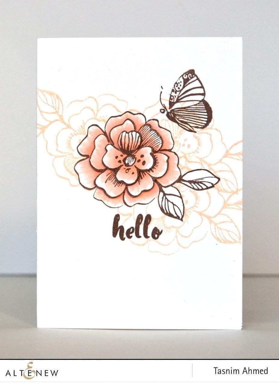 Clear Stamps Painted Greetings Stamp Set