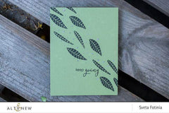 Clear Stamps Playful Plumeria Stamp Set
