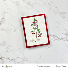 Clear Stamps Poinsettia & Berries Stamp Set