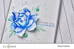 Clear Stamps Sentiments & Quotes Stamp Set