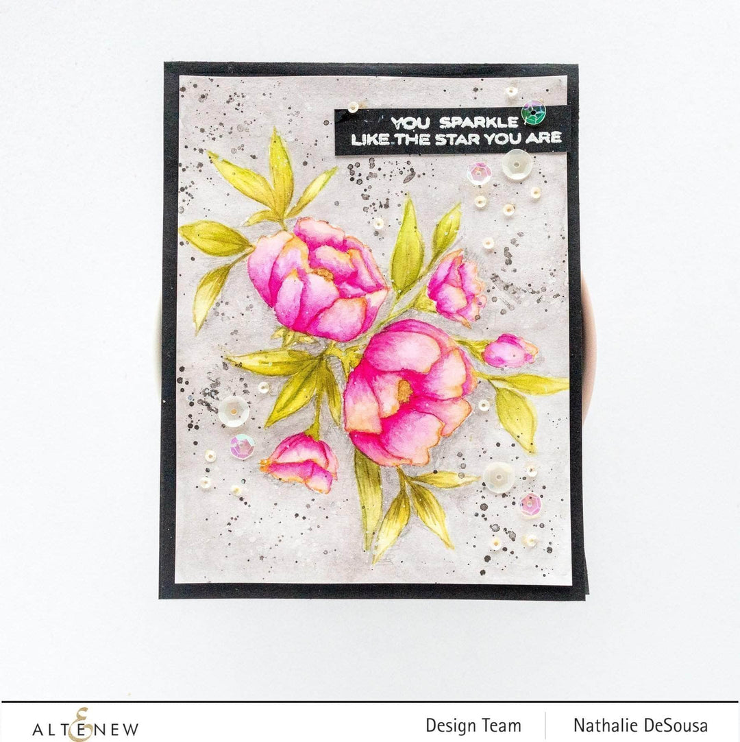 Clear Stamps Shine Like a Diamond Stamp Set