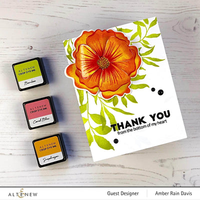 Clear Stamps Simply the Best Stamp Set