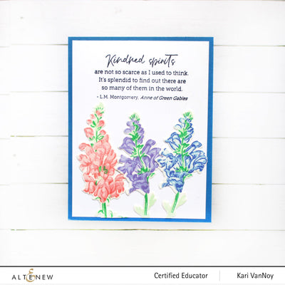 Clear Stamps Well-Read Stamp Set