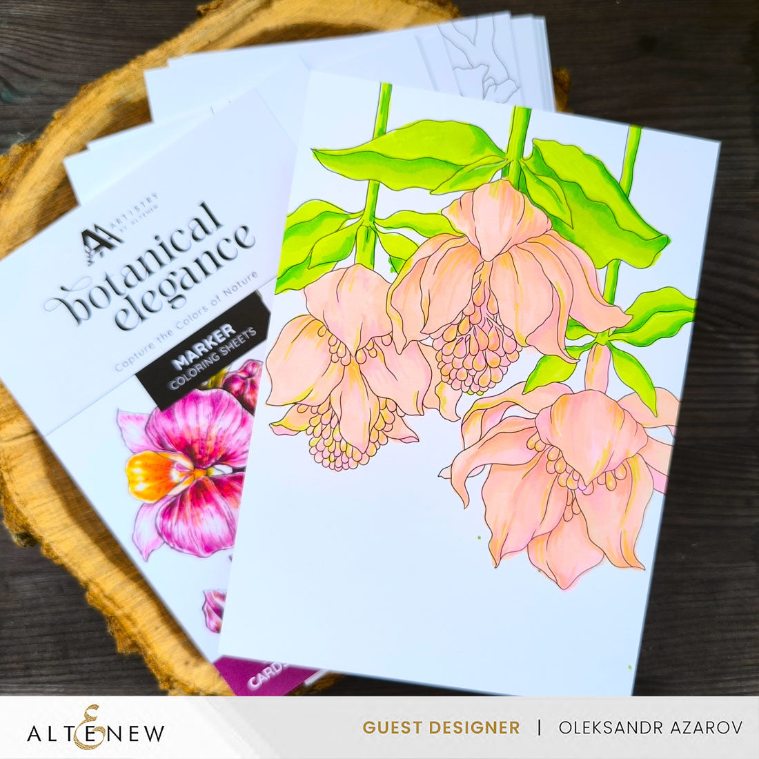Coloring Book Botanical Elegance: Capture the Colors of Nature Alcohol Marker Coloring Sheets