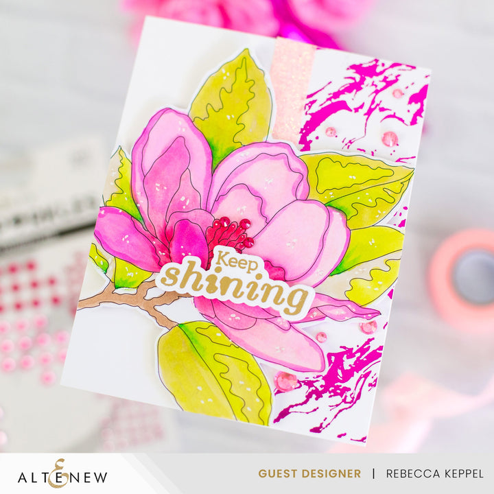 Coloring Book Bundle Instant Artist Paint-by-Numbers Bundle