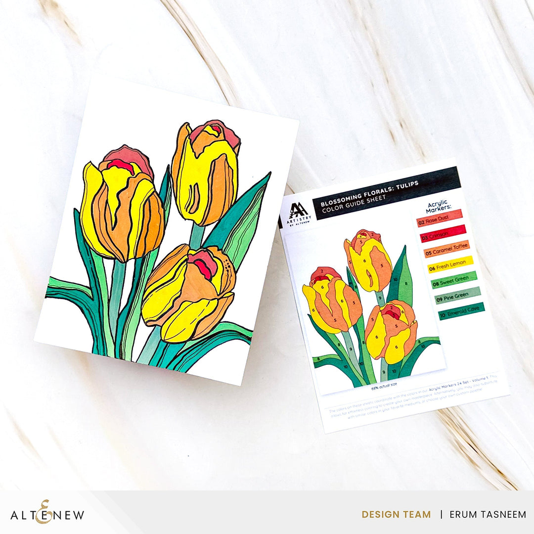 Coloring Book Color-by-Number: Instant Artist - Blossoming Florals (12 Sheets)