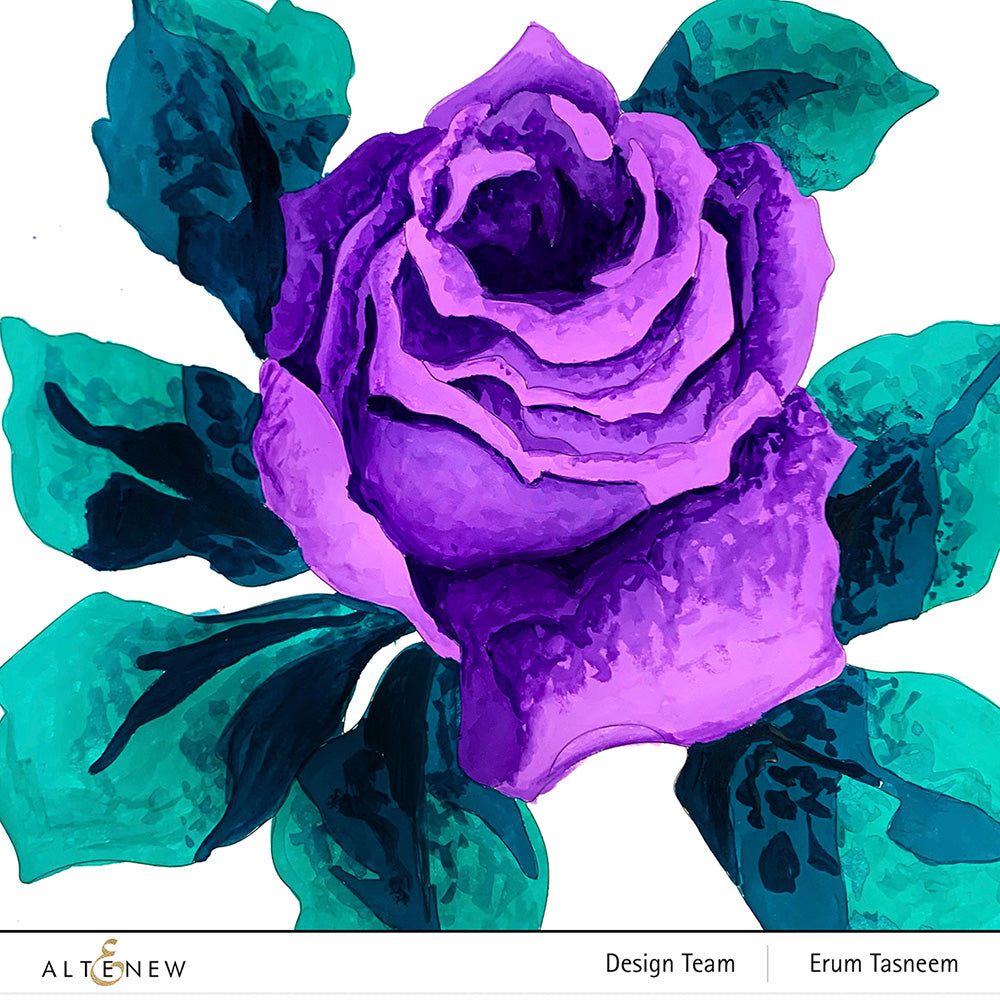 Coloring Book Paint-by-Number: Classical Roses