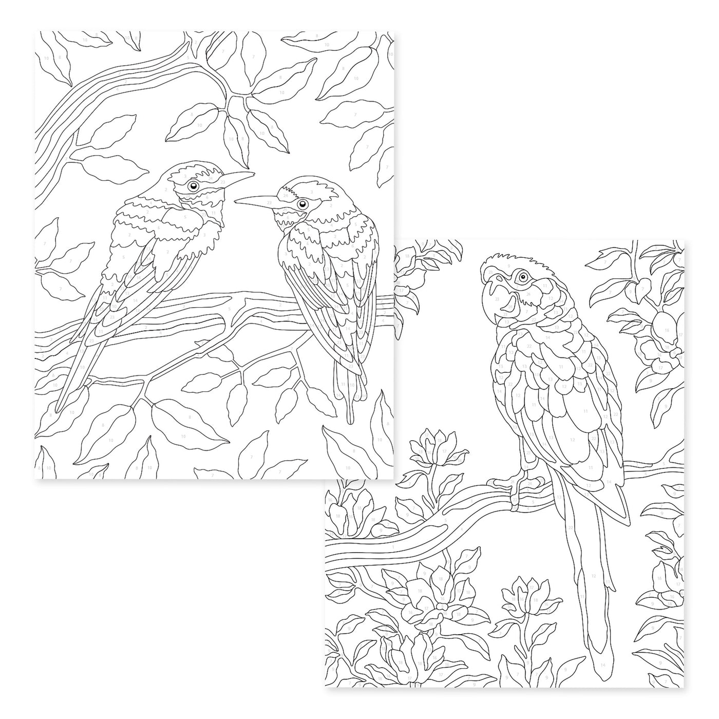 Coloring Book Paint-by-Number: Instant Artist - Feathered Foliage (4 Sheets)