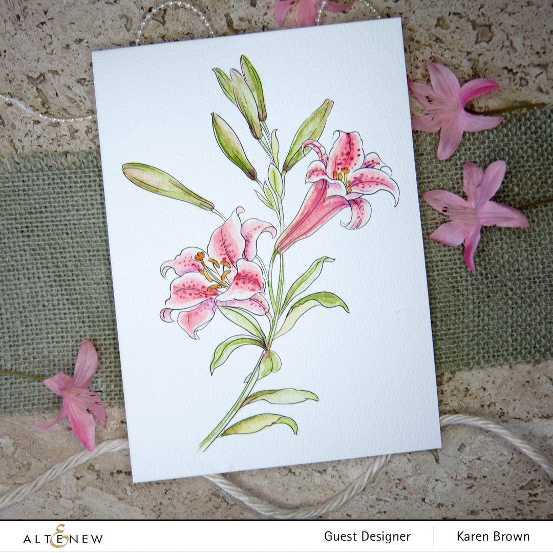 Coloring Book Watercolor Coloring Book
