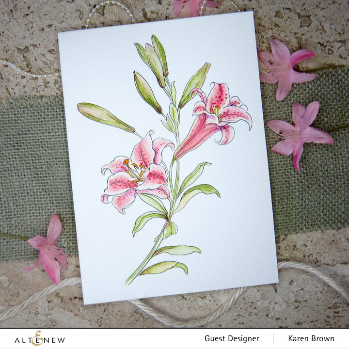 Coloring Book Watercolor Coloring Book