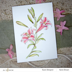 Coloring Book Watercolor Coloring Book