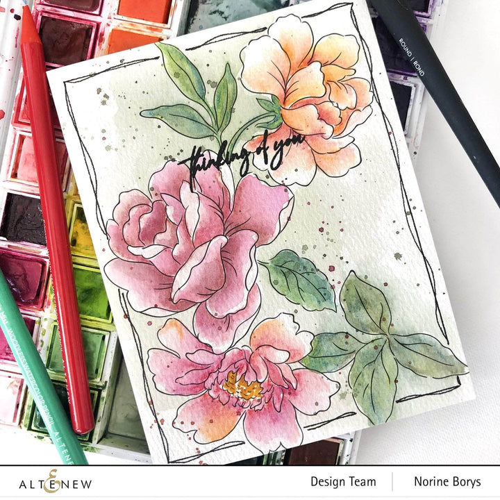 Coloring Book Watercolor Coloring Book