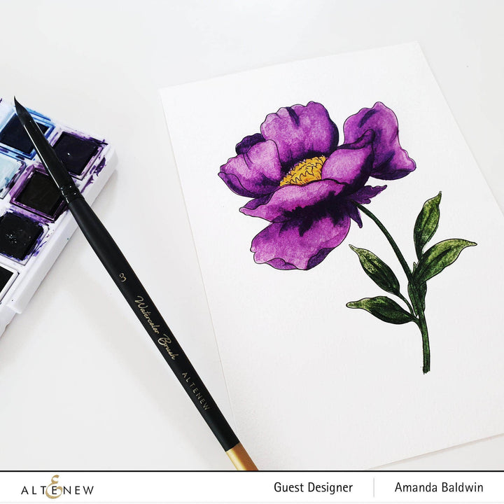 Coloring Book Watercolor Coloring Book