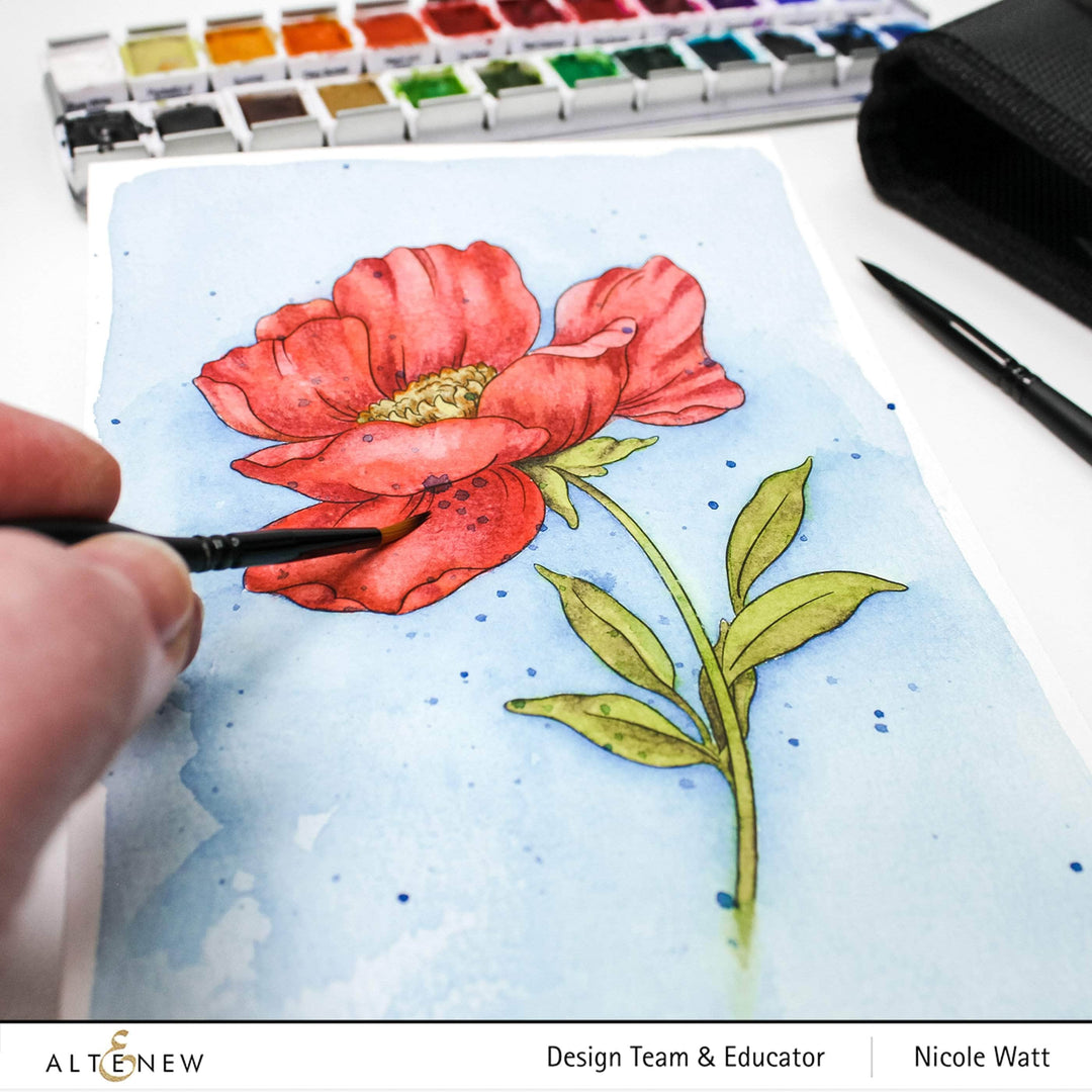 Coloring Book Watercolor Coloring Book