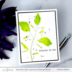 Craft Your Life Project Kit Craft Your Life Project Kit: Botanical Line Art