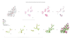 Craft Your Life Project Kit Craft Your Life Project Kit: Dynamic Blossoms