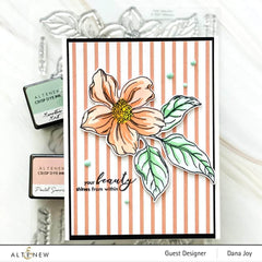 Craft Your Life Project Kit Craft Your Life Project Kit: Hello Beautiful