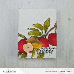 Craft Your Life Project Kit Craft Your Life Project Kit: Sweet Harvest & Add-on Die Bundle