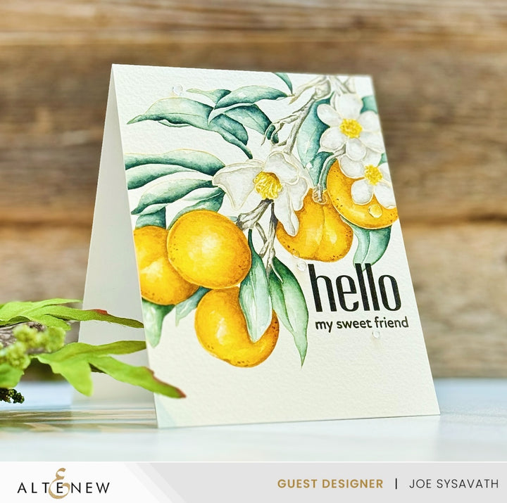 Craft Your Life Project Kit Craft Your Life Project Kit: Tangerine Grove