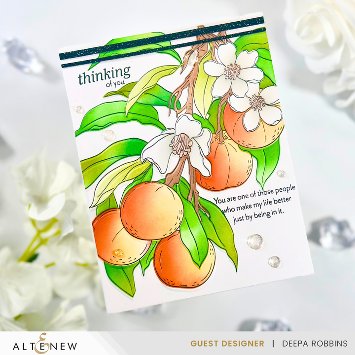 Craft Your Life Project Kit Craft Your Life Project Kit: Tangerine Grove