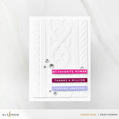 Die & Betterpress Plate Bundle Solid Sentiments Complete Bundle